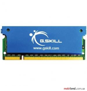 G.Skill 4 GB (2x2GB) SO-DIMM DDR2 667 MHz (F2-5300CL5D-4GBSA)