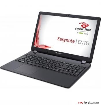 Packard Bell EasyNote ENTG71BM-C6K8 (NX.C3UEU.011)