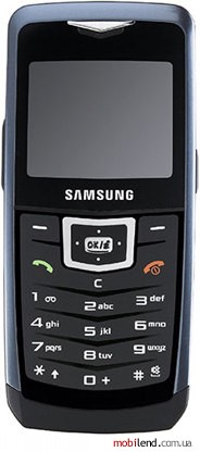 Samsung SGH-U100