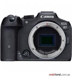 Canon EOS R7 body   Adapter EF-RF (5137C018)