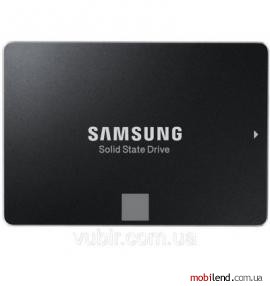 Samsung 850 EVO 500 GB (MZ-75E500RW)