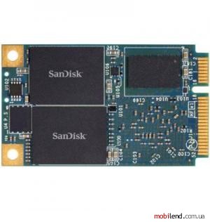 SanDisk X110 SD6SF1M-256G-1022i