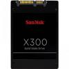 SanDisk X300 SD7SB6S-256G-1122