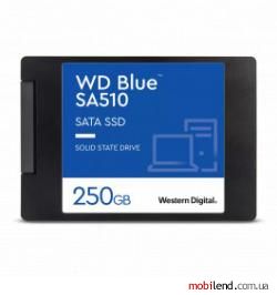 WD Blue SA510 250 GB (WDS250G3B0A)