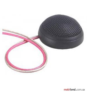 Audio Development T100