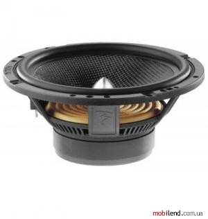 Focal Access 165 CA1 SG
