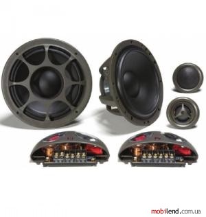 Morel Hybrid 502