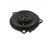 BLAM Audio BM 100 C