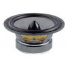 Focal Audiom 6W