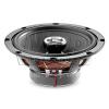 Focal Auditor RCX-165