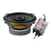 Focal Polyglass 130 CV