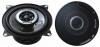 Pioneer TS-G1002i