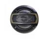 Pioneer Ts-1695