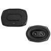 Polk Audio DXi691