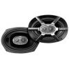 Polk Audio MM691