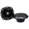 Rockford Fosgate T165