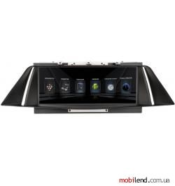 RedPower 31100IPS BMW X1 (E84) 2009