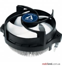 Arctic Alpine 23 (ACALP00035A)
