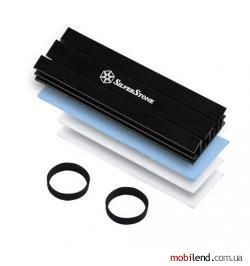 Silverstone SST-TP02-M2