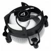 Arctic Alpine 17 (ACALP00040A)