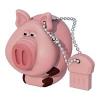Iconik RB-HOG-16GB