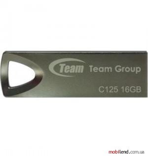 TEAM 16 GB C125 Silver TC12516GS01