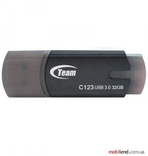 TEAM 32 GB C123 Grey