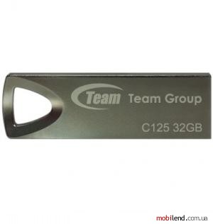 TEAM 32 GB C125 Silver