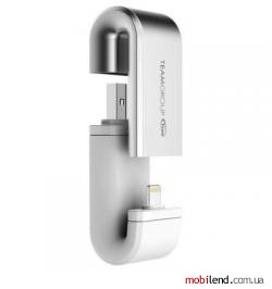 TEAM 64 GB WG02 Silver (TWG02CGS01)