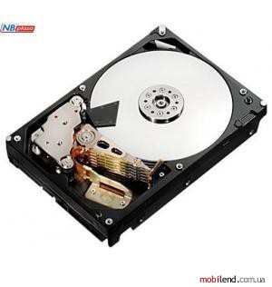 Hitachi Deskstar NAS H3IKNAS600012872SE