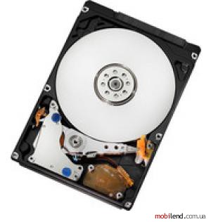 Hitachi Travelstar 7K1000 1TB (HTS721010A9E630)