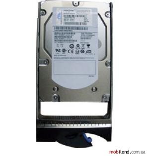 IBM 300GB (44W2234)