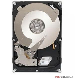 Seagate Constellation CS ST3000NC002
