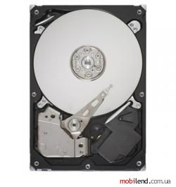 Seagate ST31000524NS