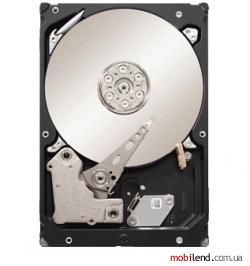 Seagate ST33000651AS