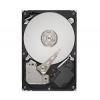 Seagate ST31000322CS
