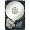 Seagate ST31000340NS