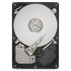 Seagate ST31000524NS
