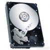Seagate ST3250824AS