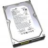 Seagate ST3500630NS