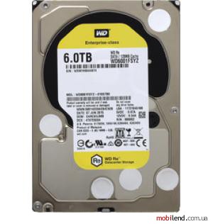 WD RE 6TB (WD6001FSYZ)