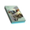 Seagate FireCuda Grogu Drive Special Edition 2 TB (STKL2000404)
