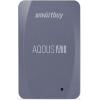 Smart Buy Aqous A1 SB256GB-A1G-U31C 256GB ()