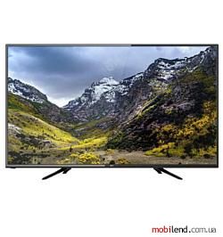 BQ 5001B 49.5" (2019)