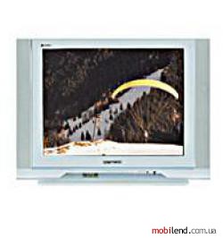 Hitachi C21-RM39S