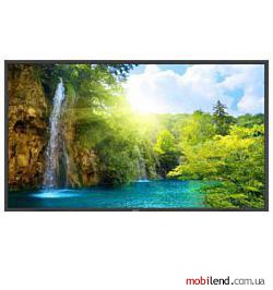 NEC MultiSync P701