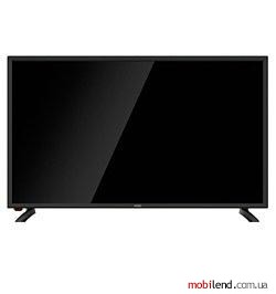 Polar 100LTV1101