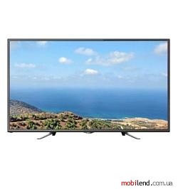 Polar 100LTV7011