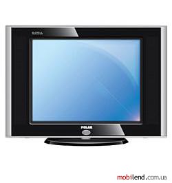 Polar 54CTV3079