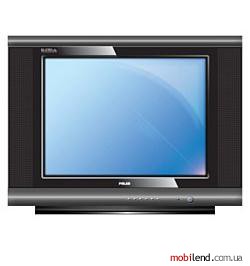 Polar 54CTV3371
